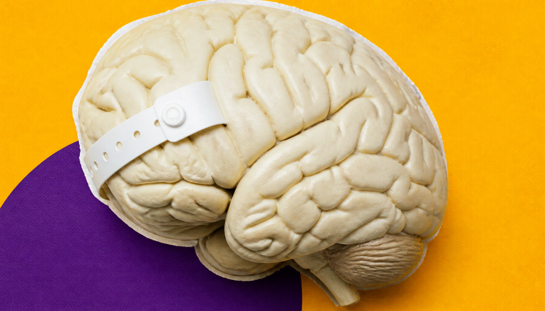Childhood ADHD casts a long shadow into adulthood
