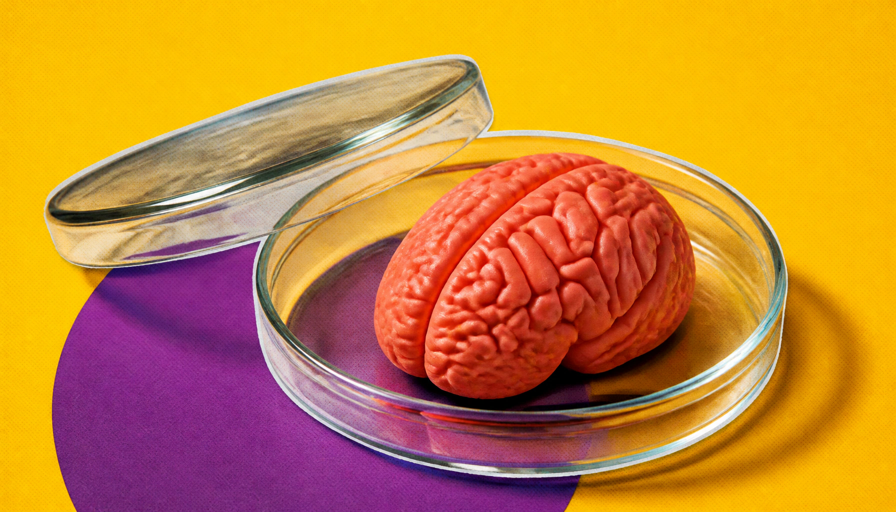 AI-engineered "intrabodies" could open new frontiers in treating Alzheimer's, Parkinson's, and MND