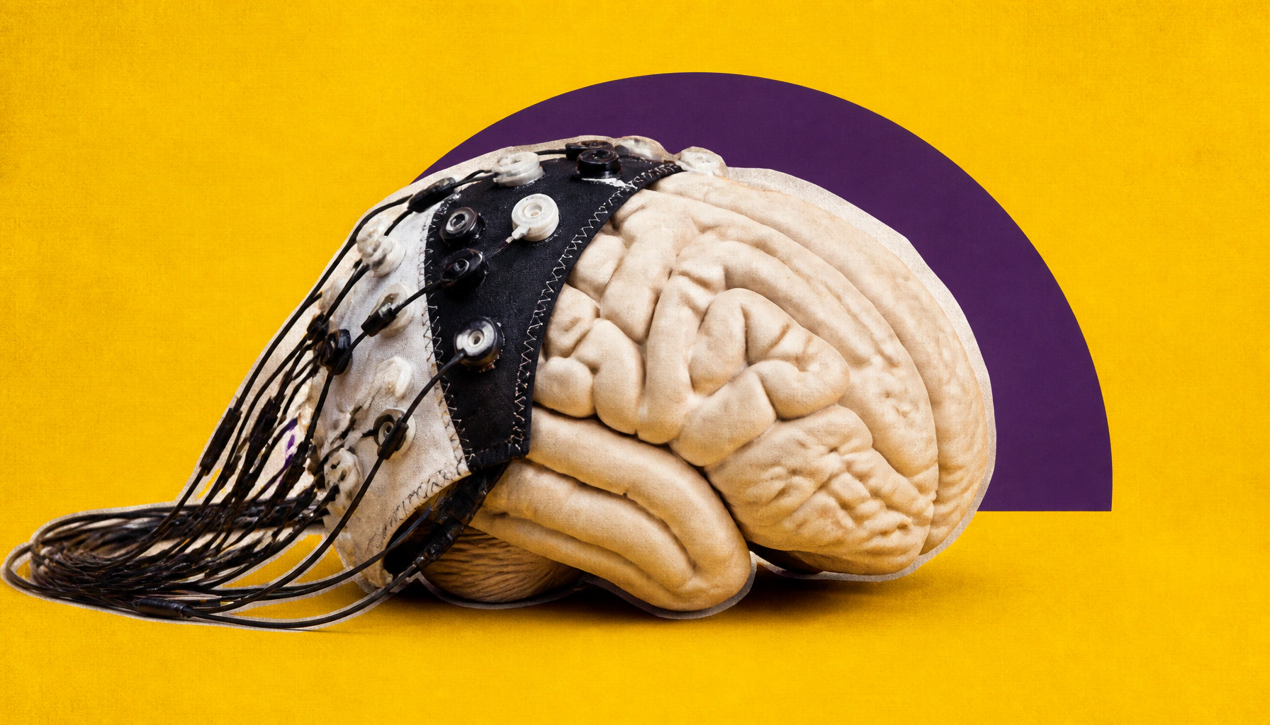 The brain's decision-making hub rewires itself in real time — here's what that means for ADHD and beyond