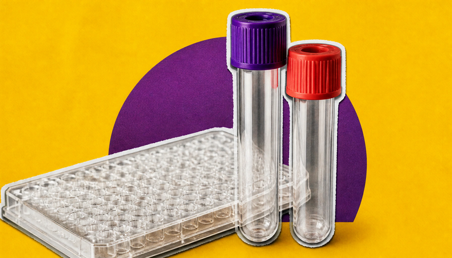 1,000+ genetic switches explain why women's immune systems are wired differently