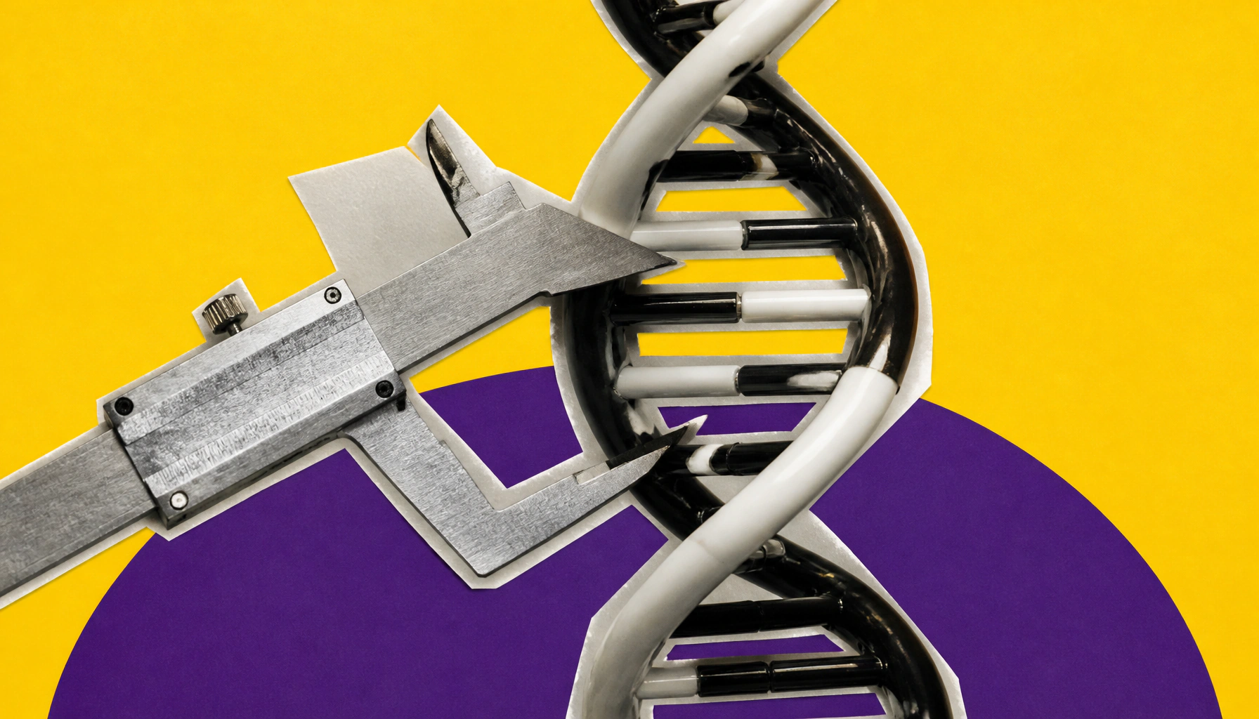 DNA's hidden physical code: How shape and flexibility influence gene activity