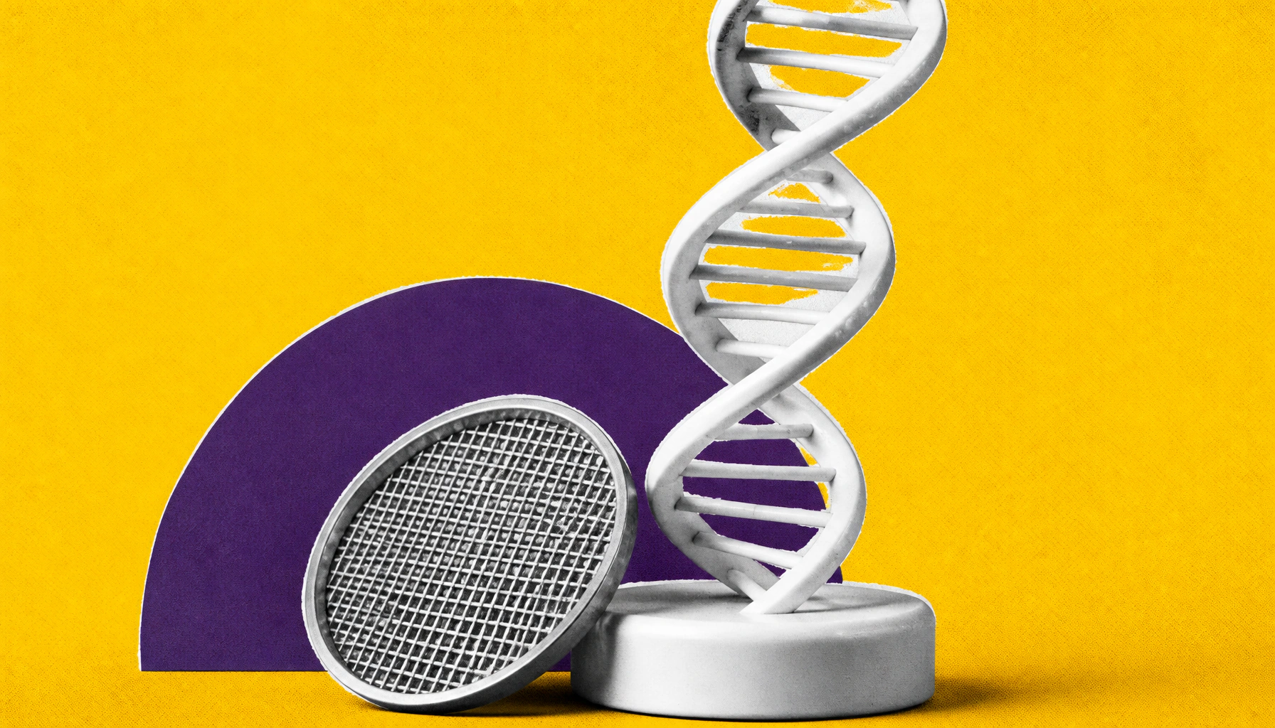 Scientists capture gene-reading machinery in action inside living cells for the first time