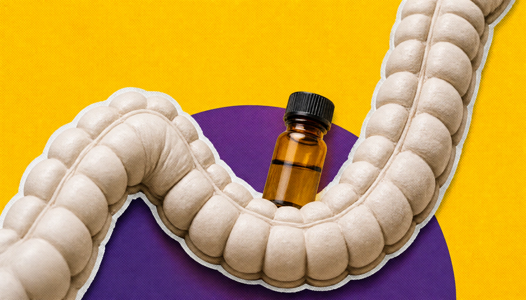 Gut bacteria may give your intestines a long-lasting anti-inflammatory "memory"