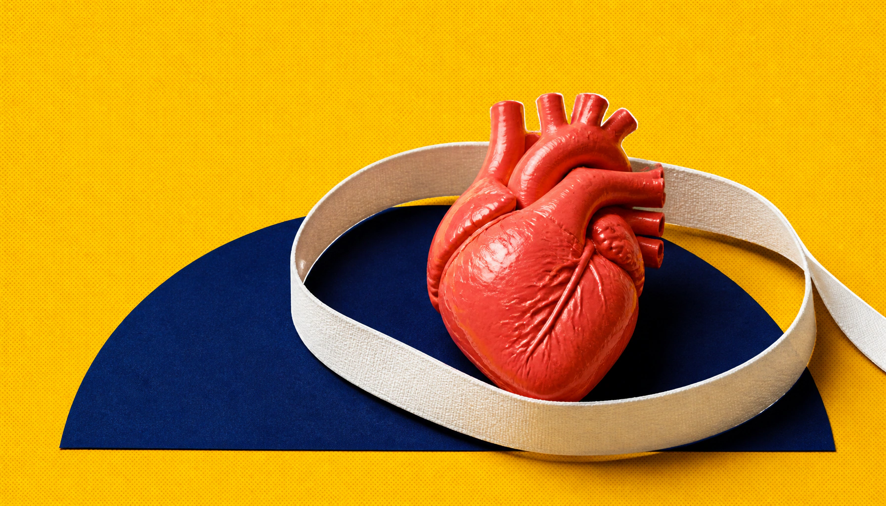 Your waistline may be a better heart disease predictor than your BMI