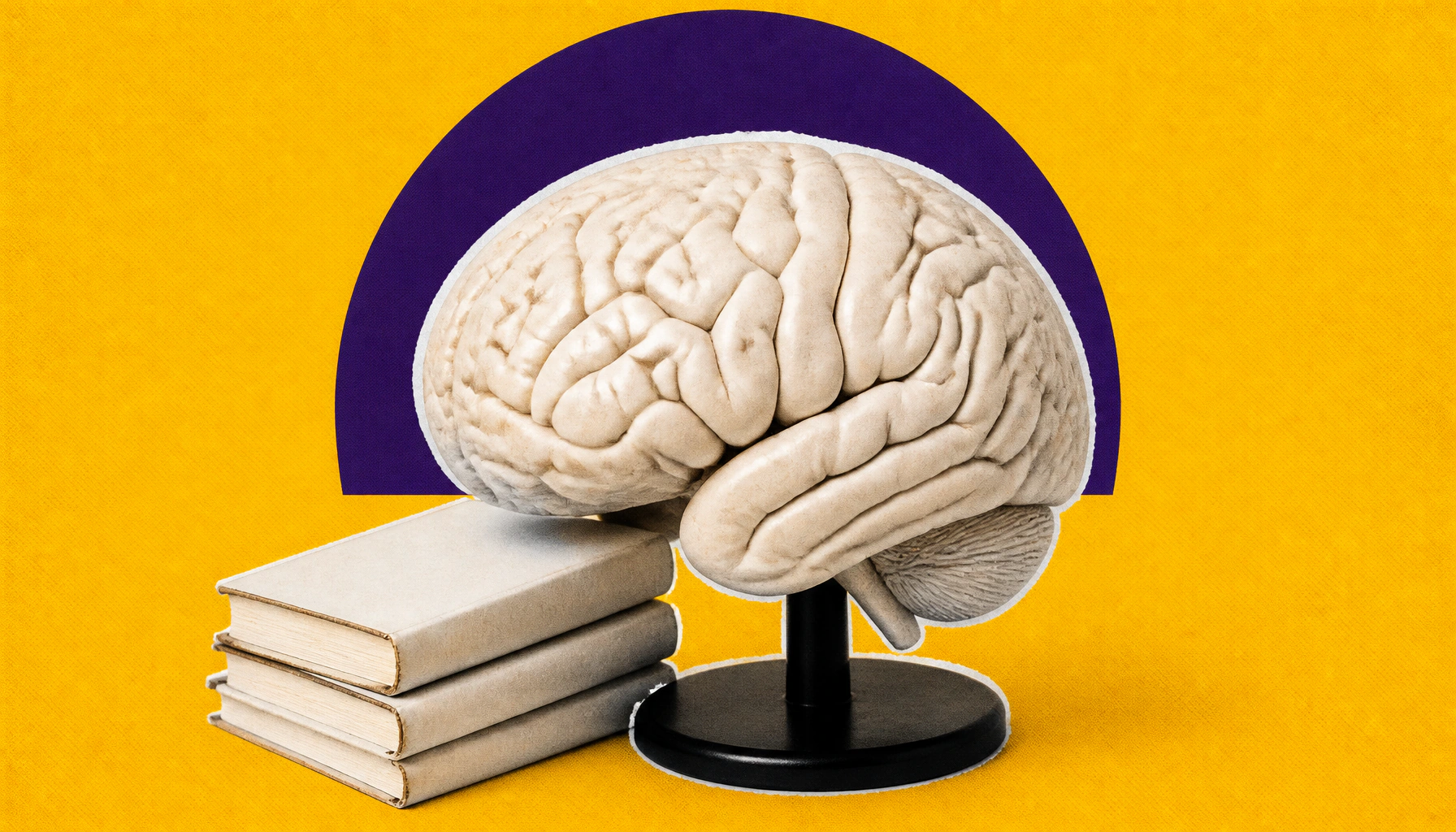 Speaking more languages may keep your brain years younger