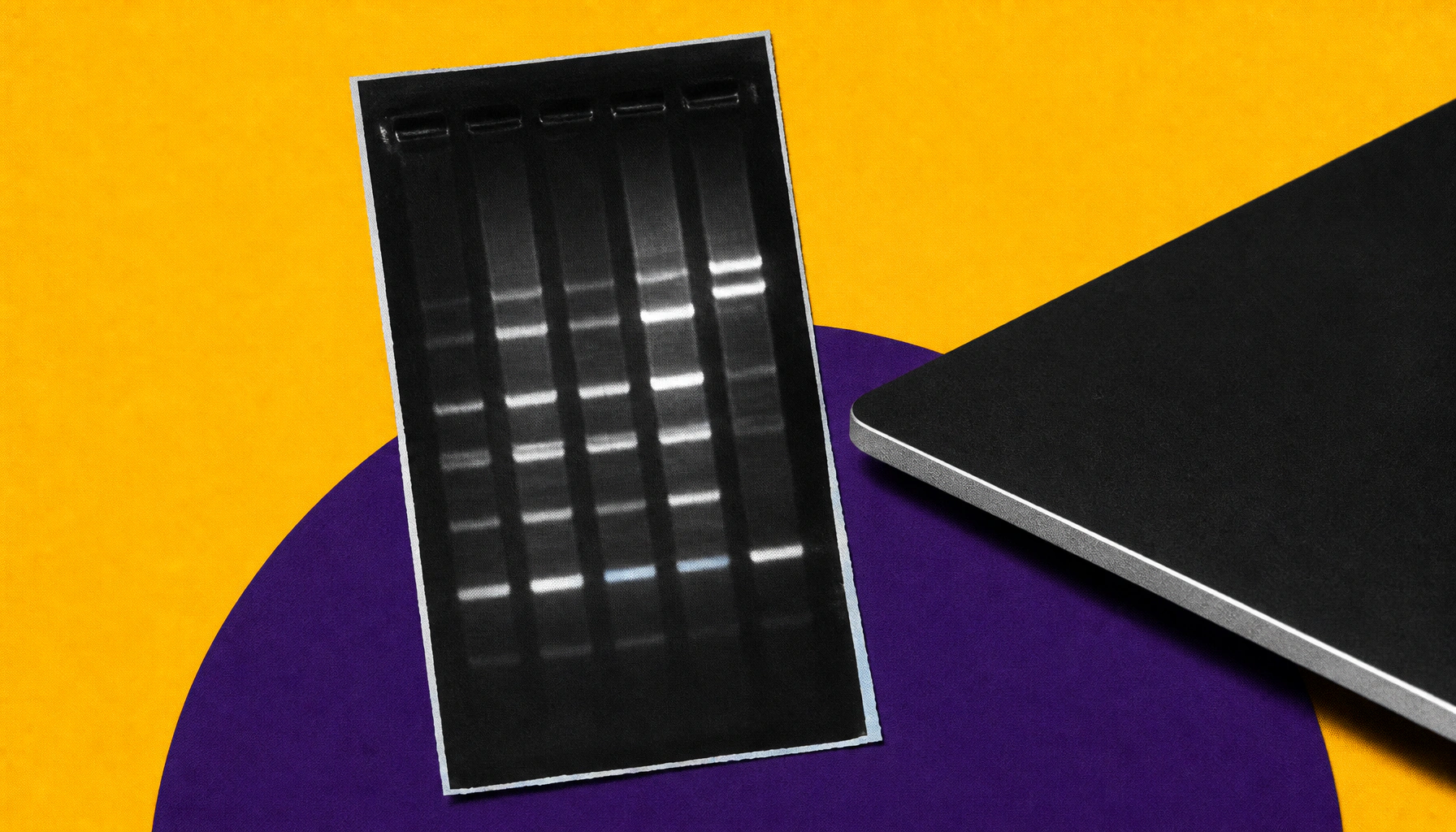 AI cracks the genetic "on switch" hiding in 60% of human genes