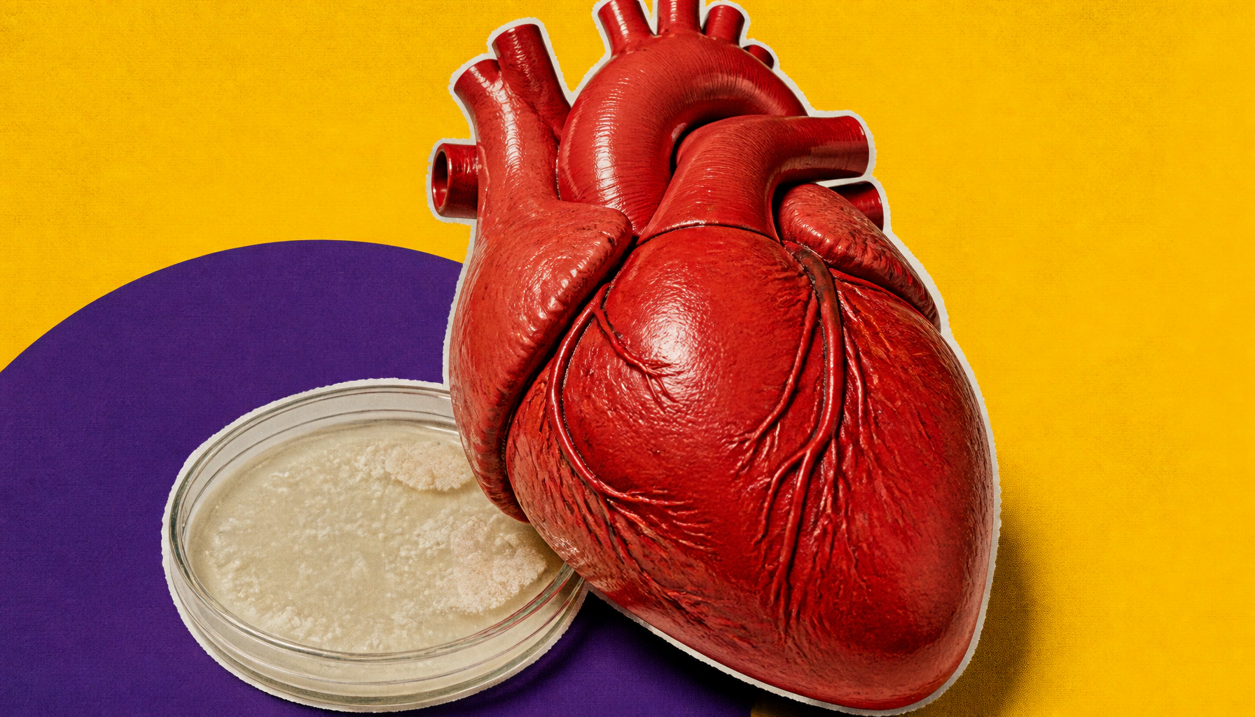 Your gut bacteria may be the secret ingredient that makes vegetables heart-healthy