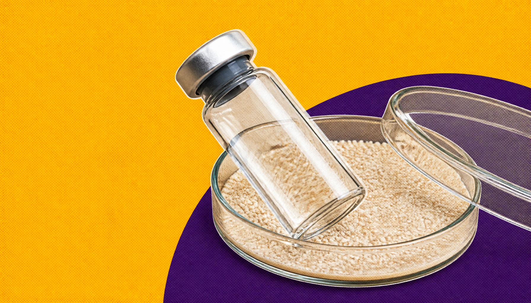 A yeast-brewed flu vaccine that could last a lifetime