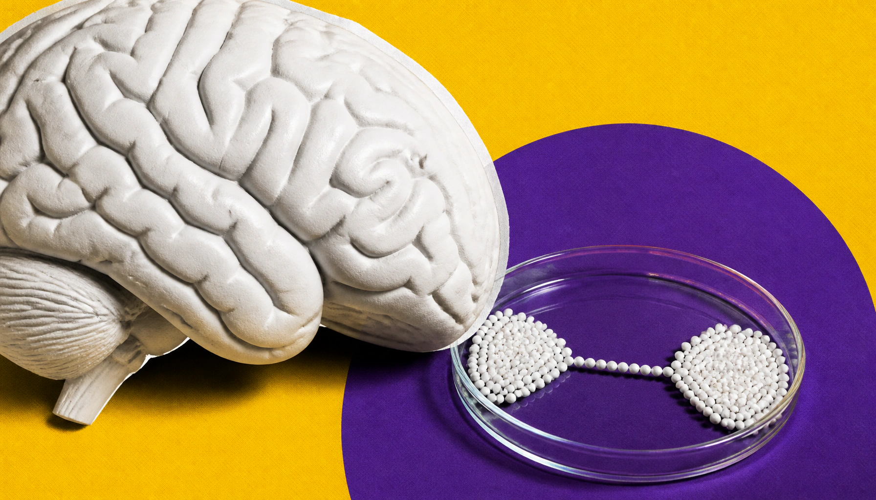 Alzheimer's research zeroes in on the amyloid-to-tau transition — and a new path to earlier treatment