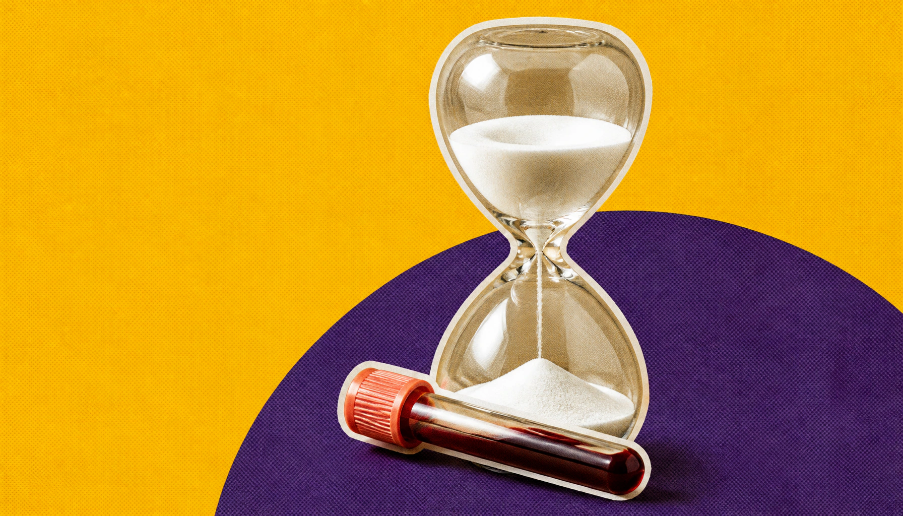 The secret weapon of supercentenarians? Rare "killer" immune cells that never quit