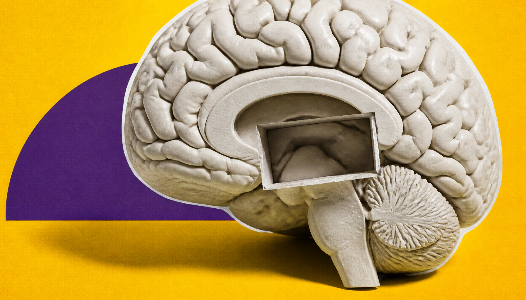 Depression may block the brain's ability to grow new neurons — and that could change how we treat it
