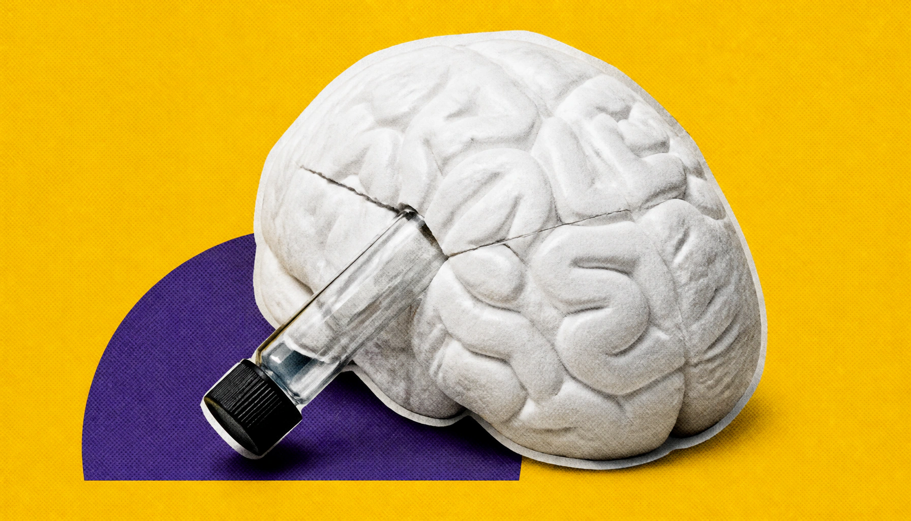 Childhood trauma leaves a molecular "scar" in the brain — and scientists may have found a way to block it