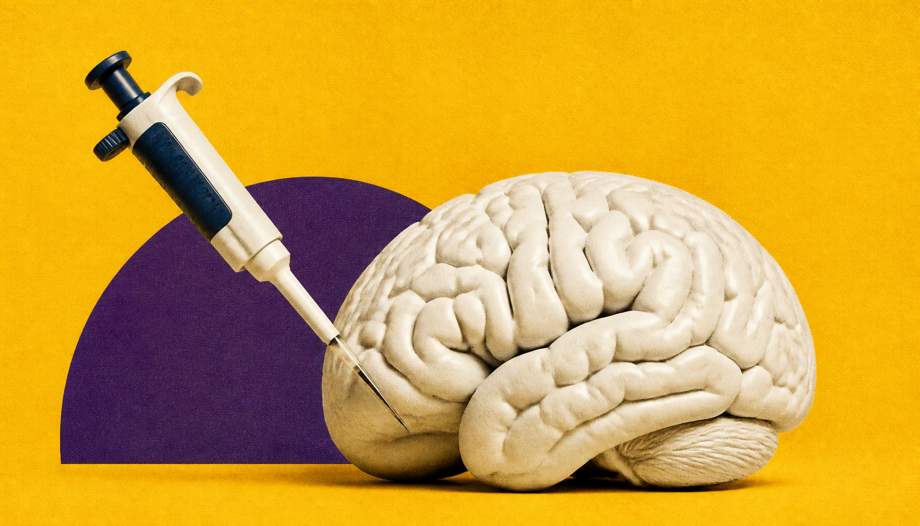 Scientists pinpoint the specific neurons that dial aggression up — and down