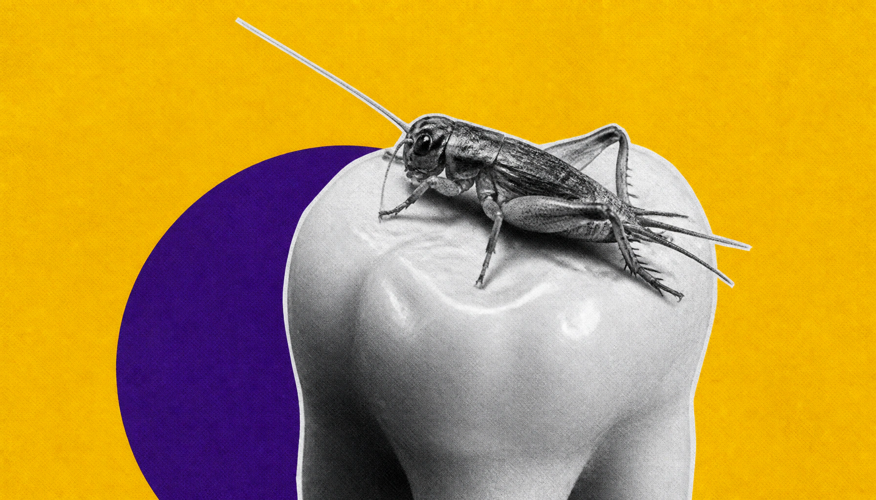 Your aversion to eating bugs may be written in your DNA — and it's 9,000 years old
