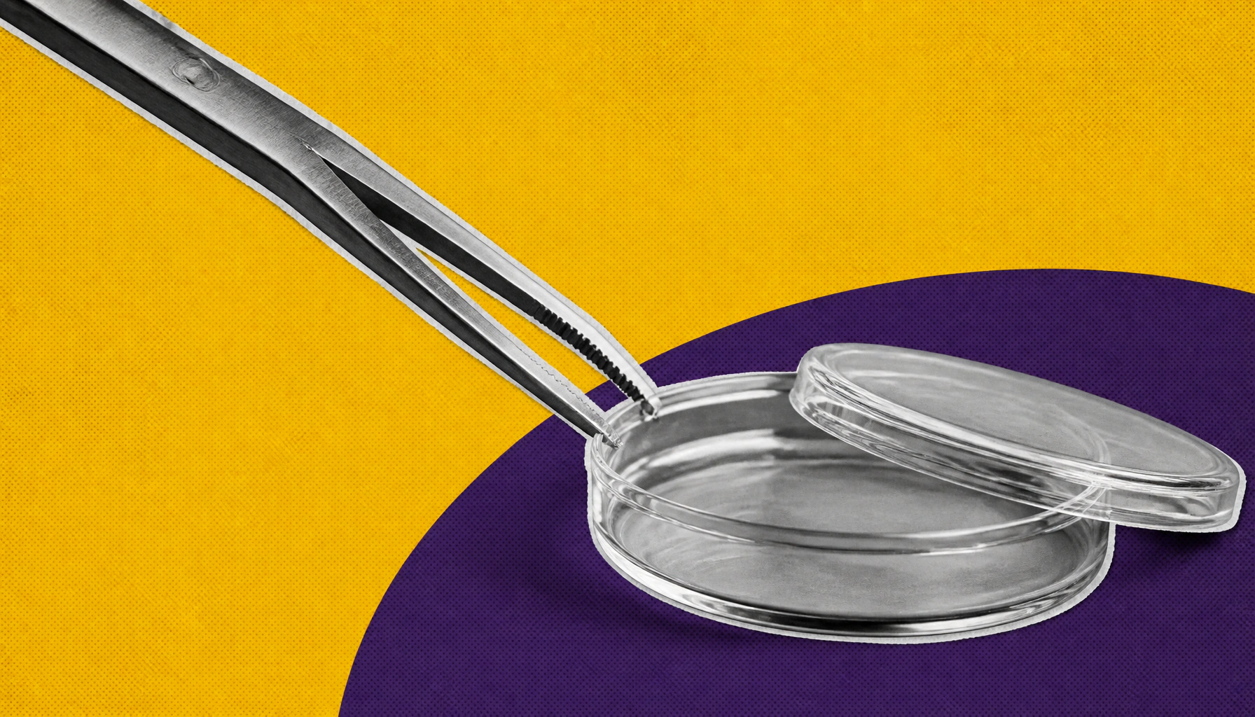 The body's cellular "glue" has a secret second job: cleaning up dead cells