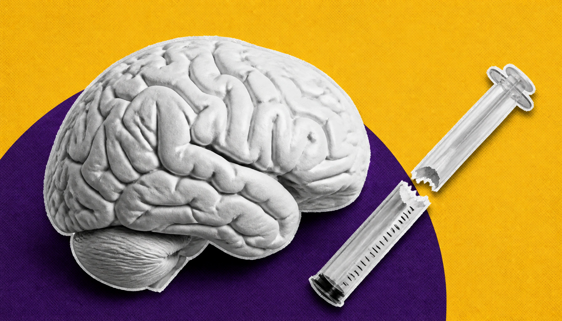 Brain's hidden "brake" could unlock safer treatments for chronic nerve pain