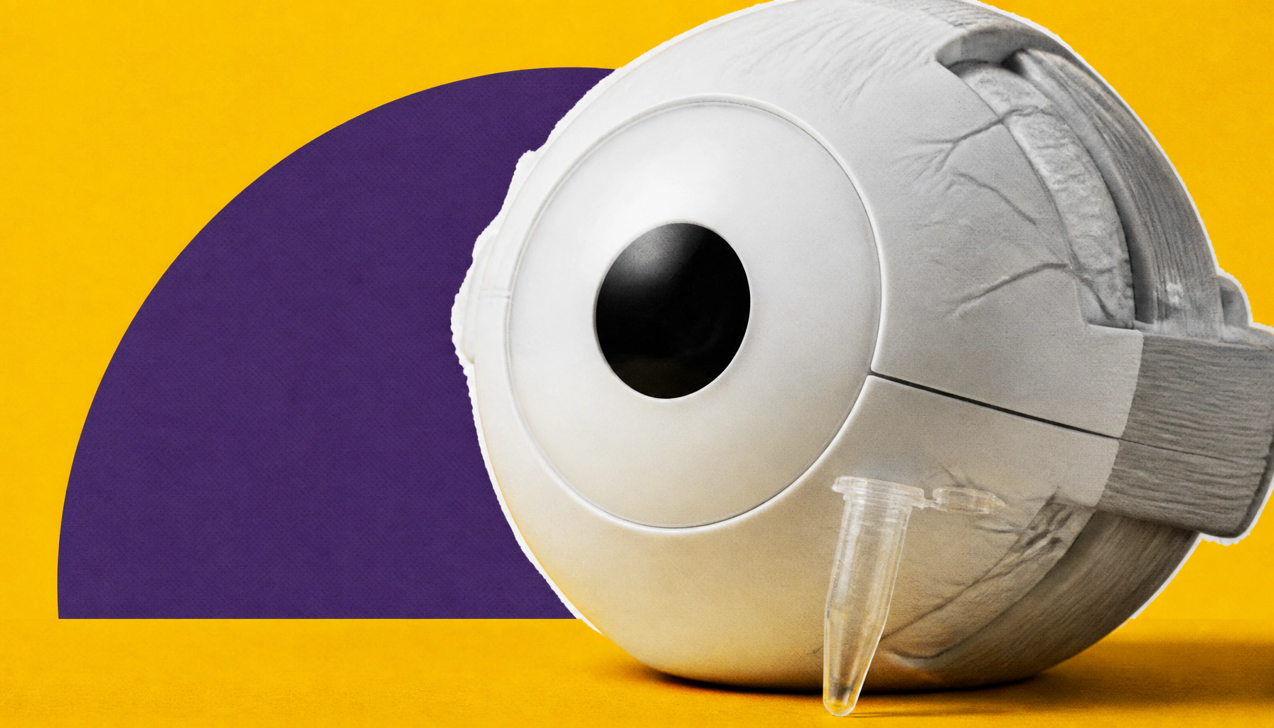 Meet TIGRa: Stanford's tiny but mighty new gene activation tool