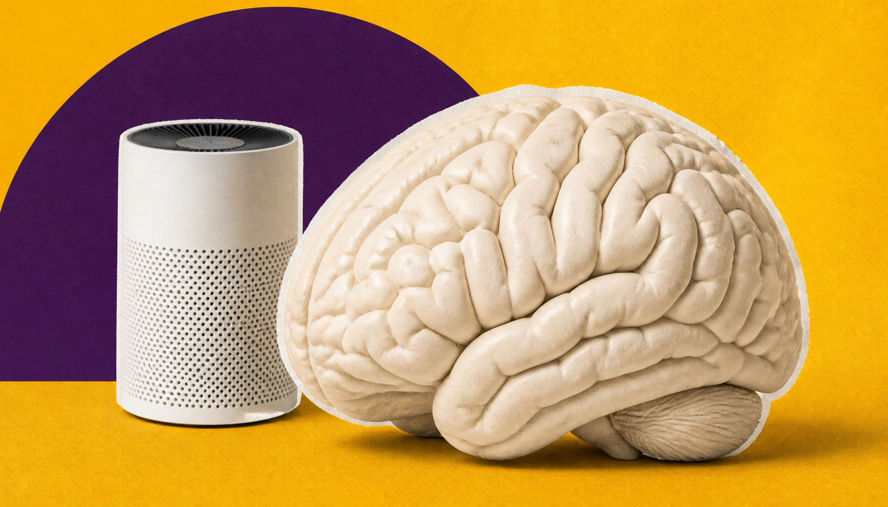 Cleaner air, sharper mind: HEPA purifiers linked to better brain function in older adults