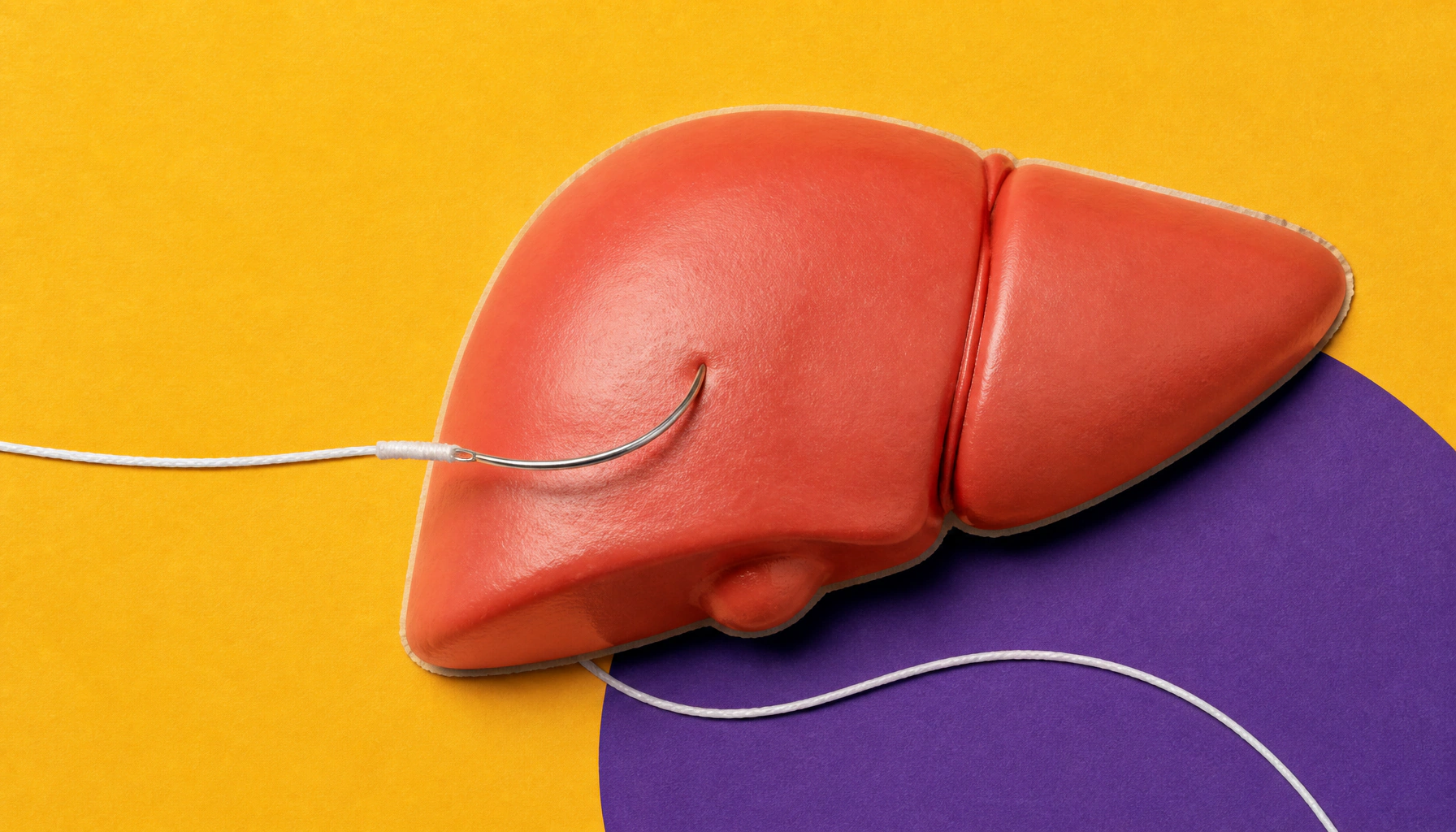 Why alcohol-damaged livers can't heal — even after you quit drinking