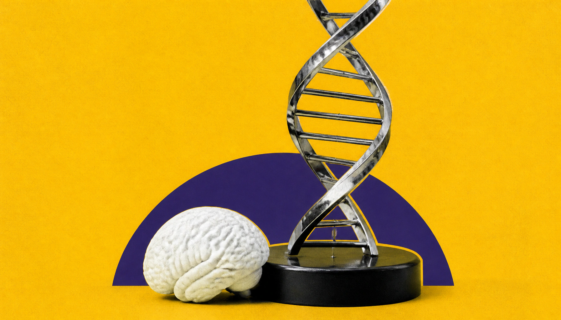 The human-only gene that may be behind our brain's slow-burn brilliance