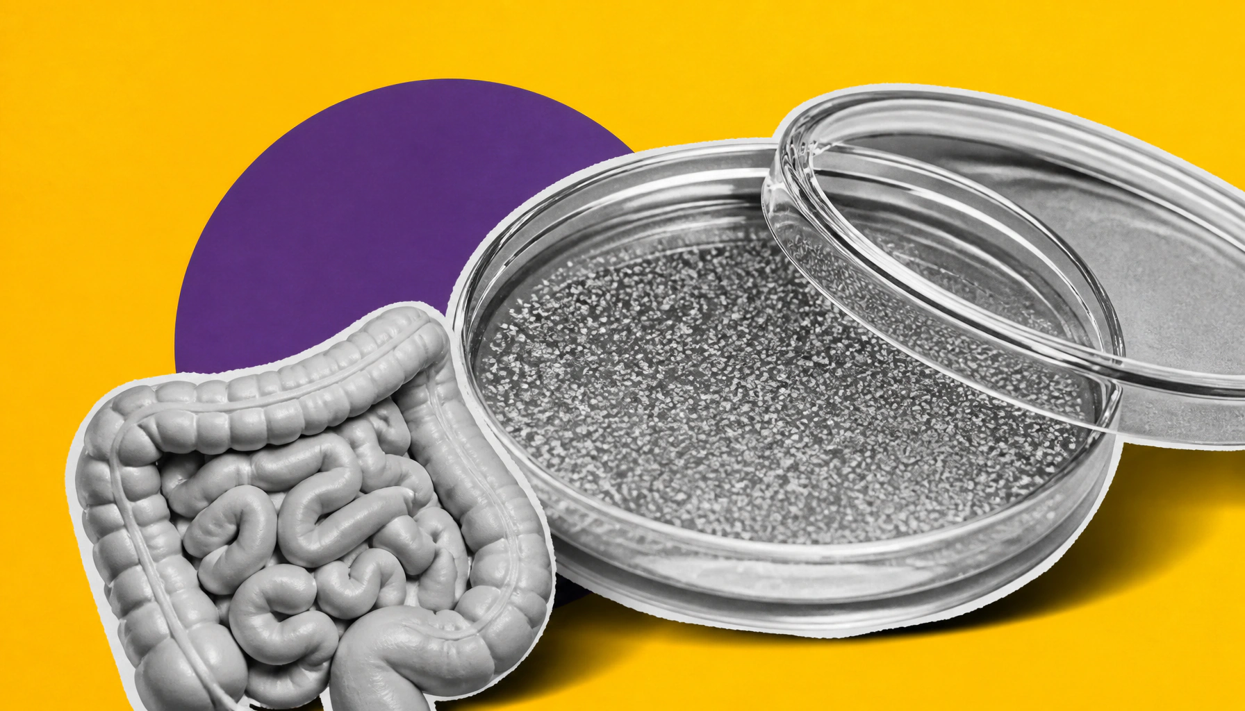 Mapping childhood Crohn's disease one cell at a time