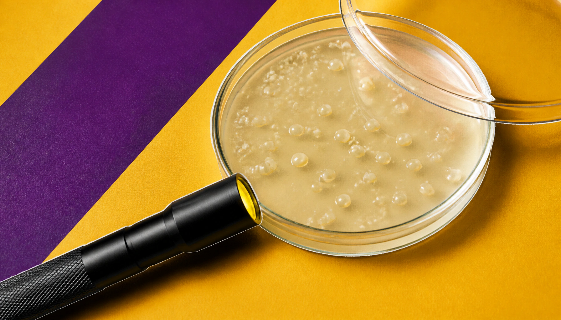 DARPA is funding a "wireless DNA printer" — and it lives inside yeast