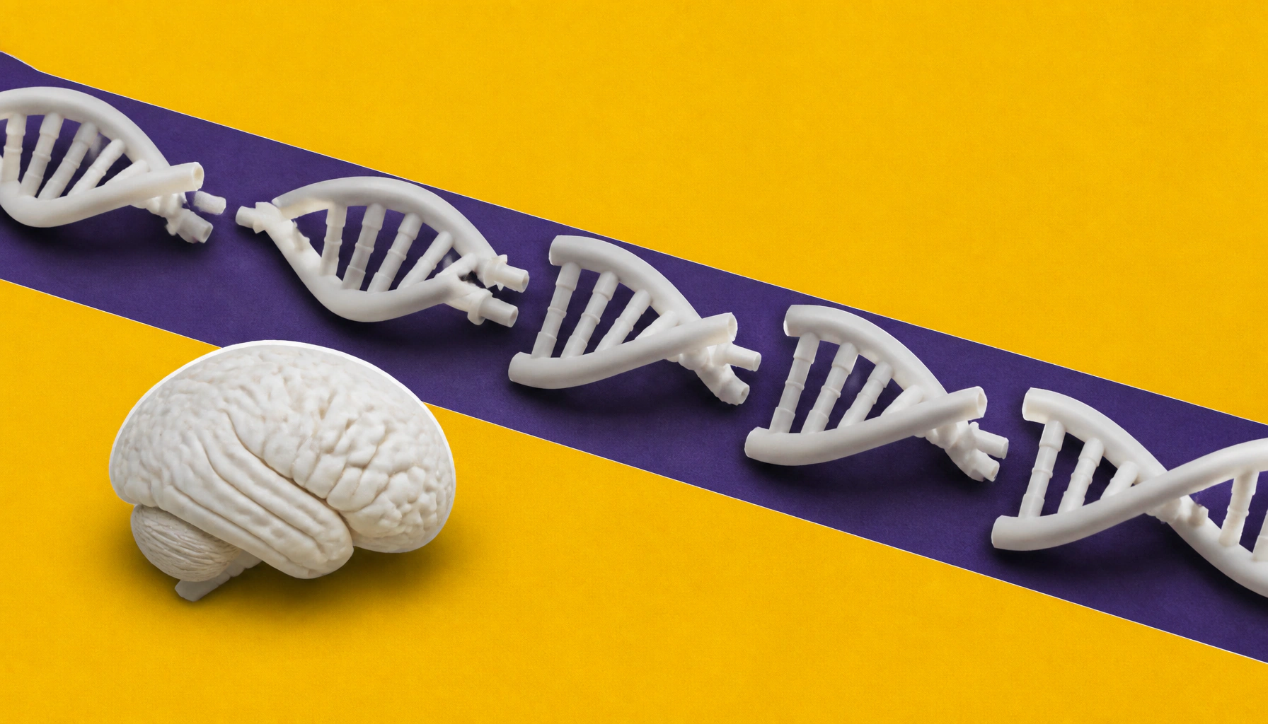 Your personality is in your DNA — over 1,200 genetic variants linked to who you are