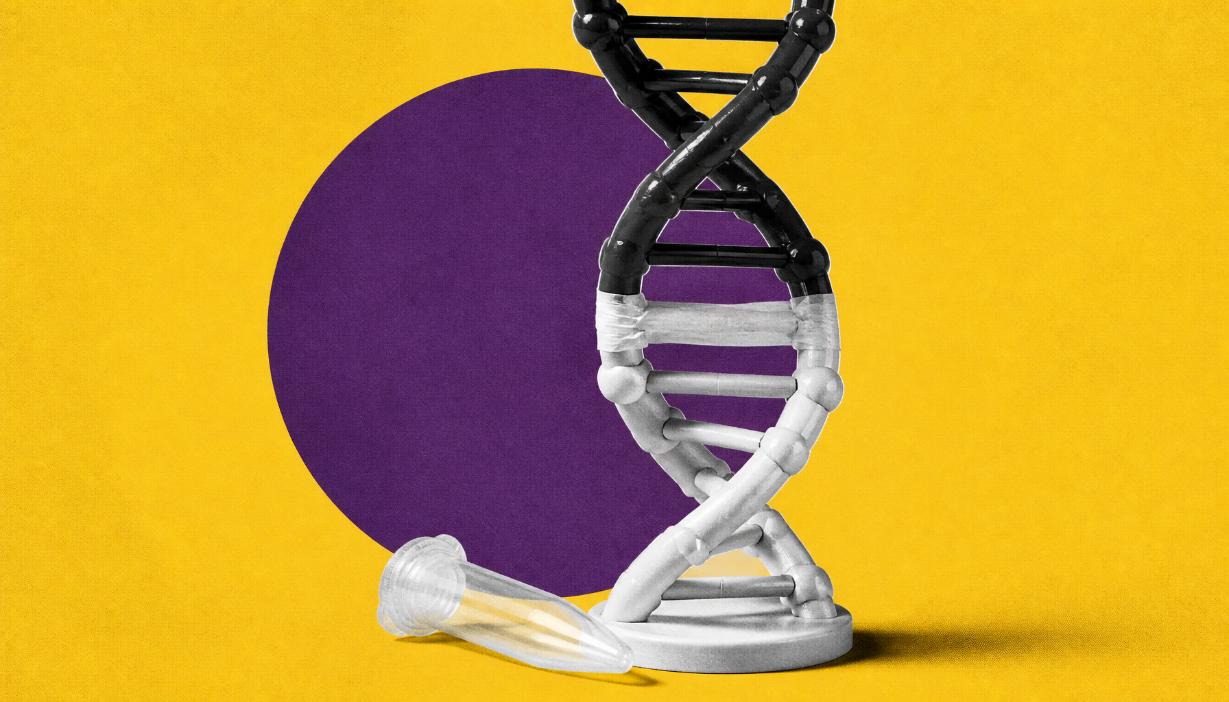 Harvard scientists uncover a hidden layer of the genome — and it could change medicine