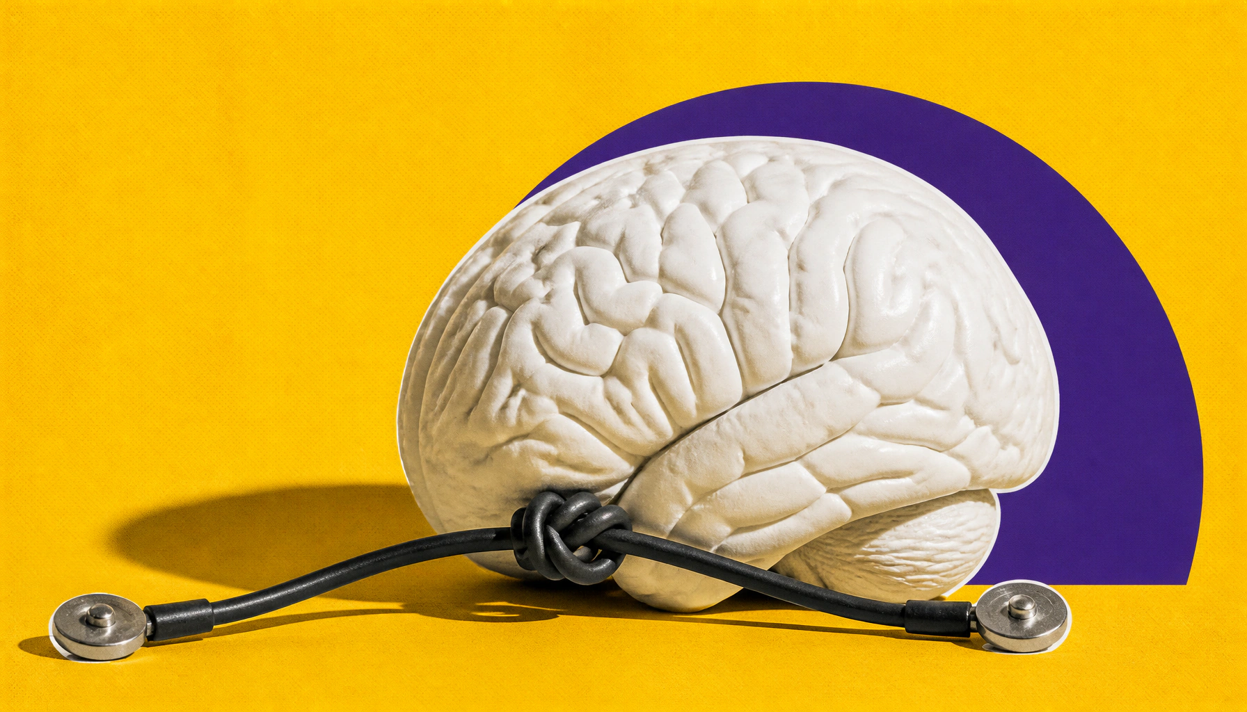Electric fish brain map reveals how neural circuits filter out self-generated noise