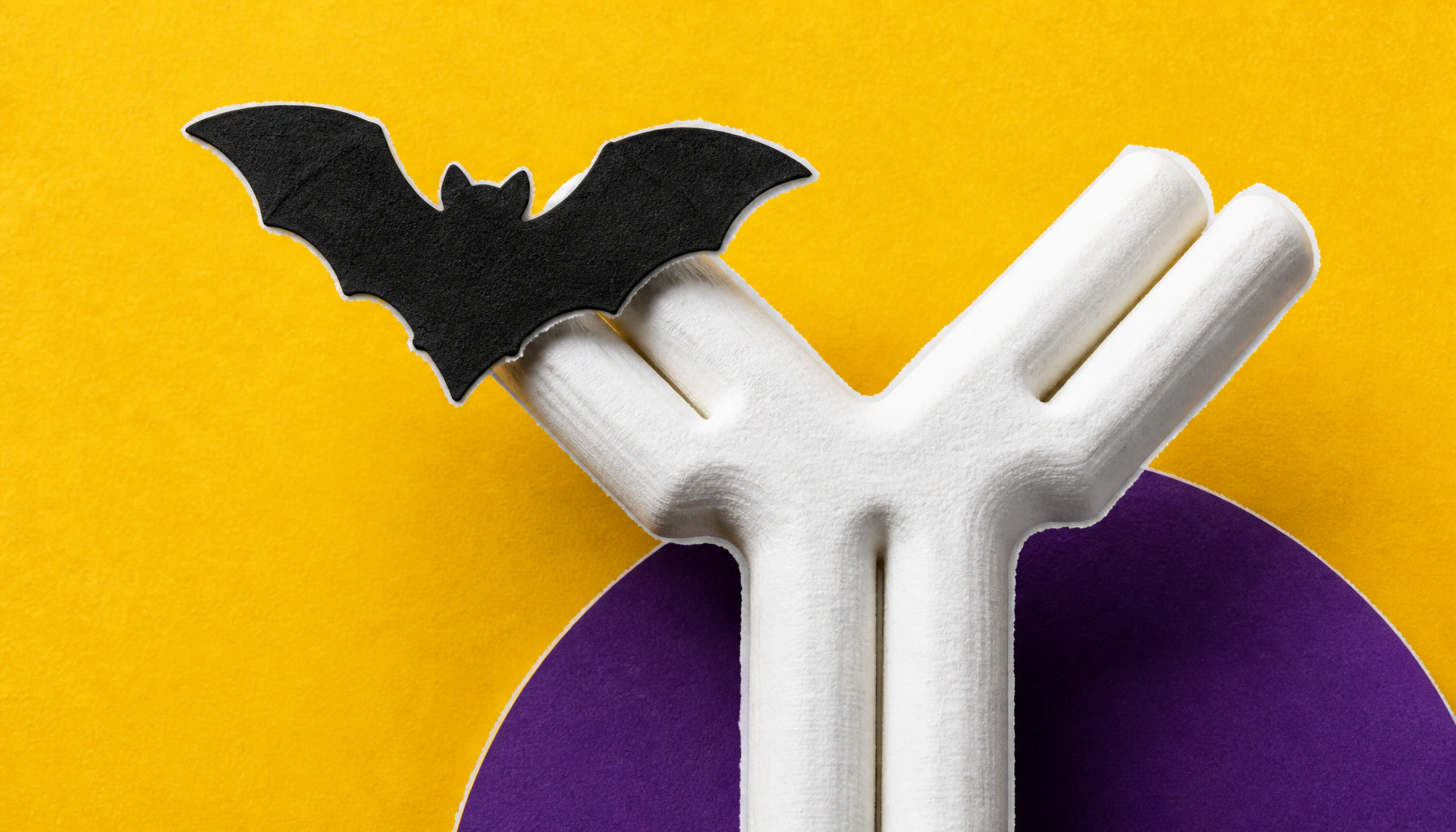 Bats have a double dose of antibody genes — and it could change how we think about immunity