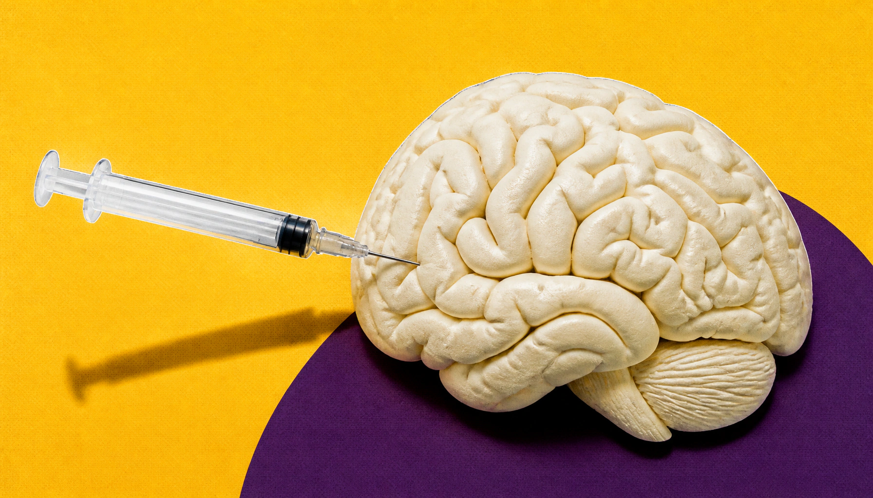 Injectable scaffold helps stroke-damaged brains regrow blood vessels and restore movement in mice