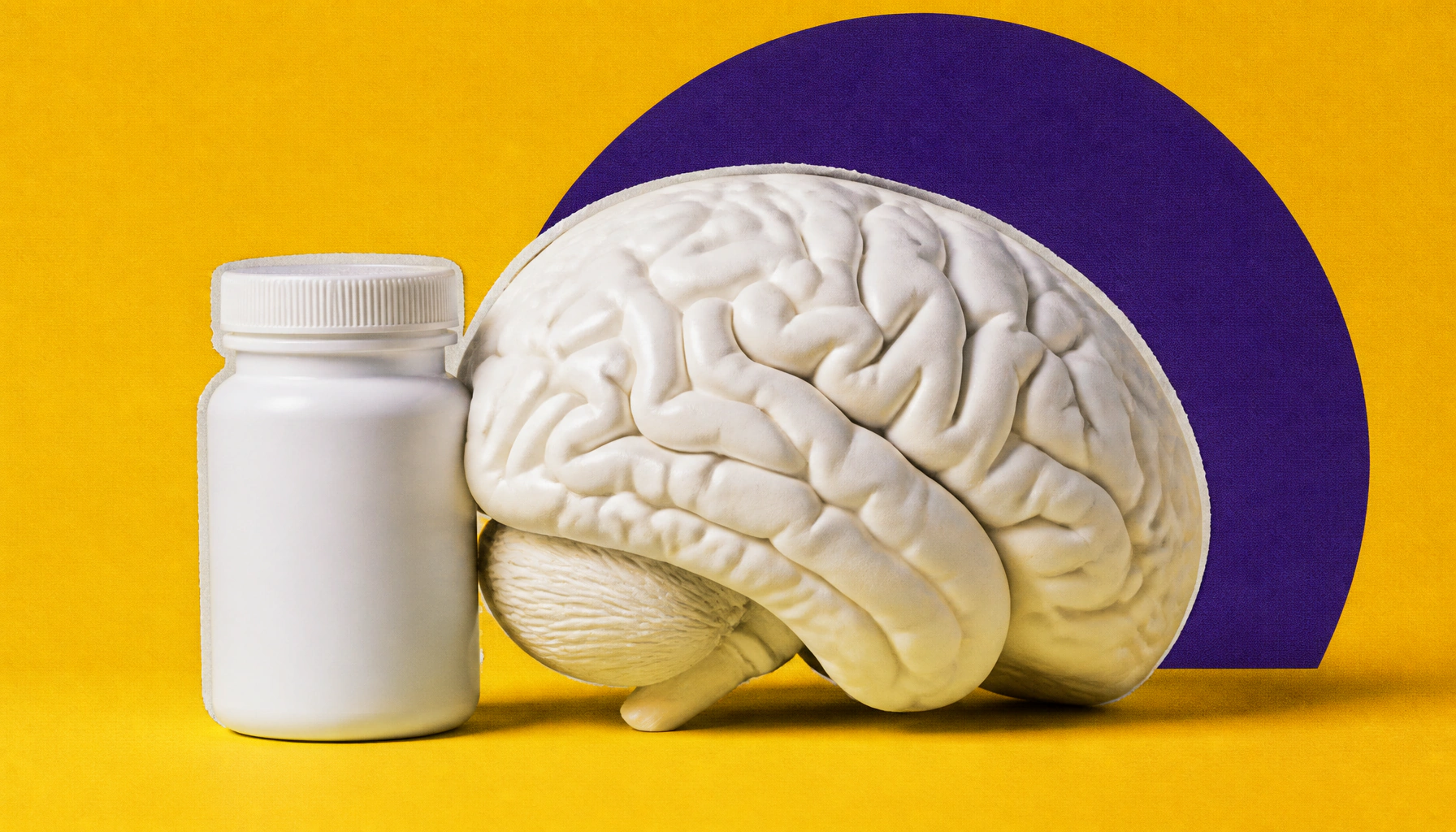 Sea squirt compound reverses brain aging signs in mice — could it work in humans?