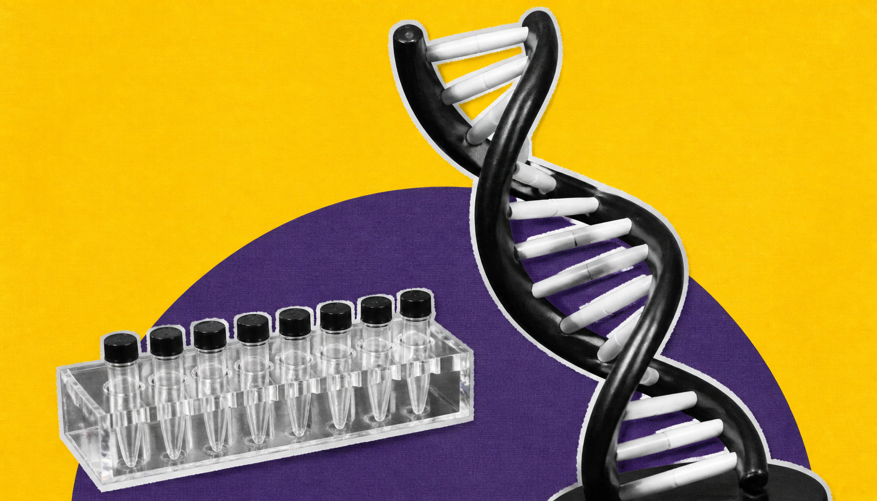 Scientists unlock the secrets of an eight-letter genetic alphabet