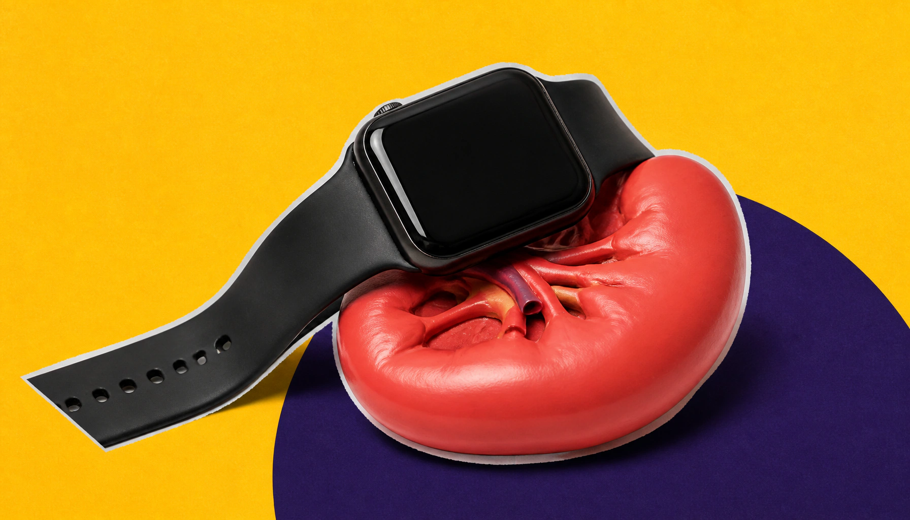Digital health tools are reshaping life after a kidney transplant