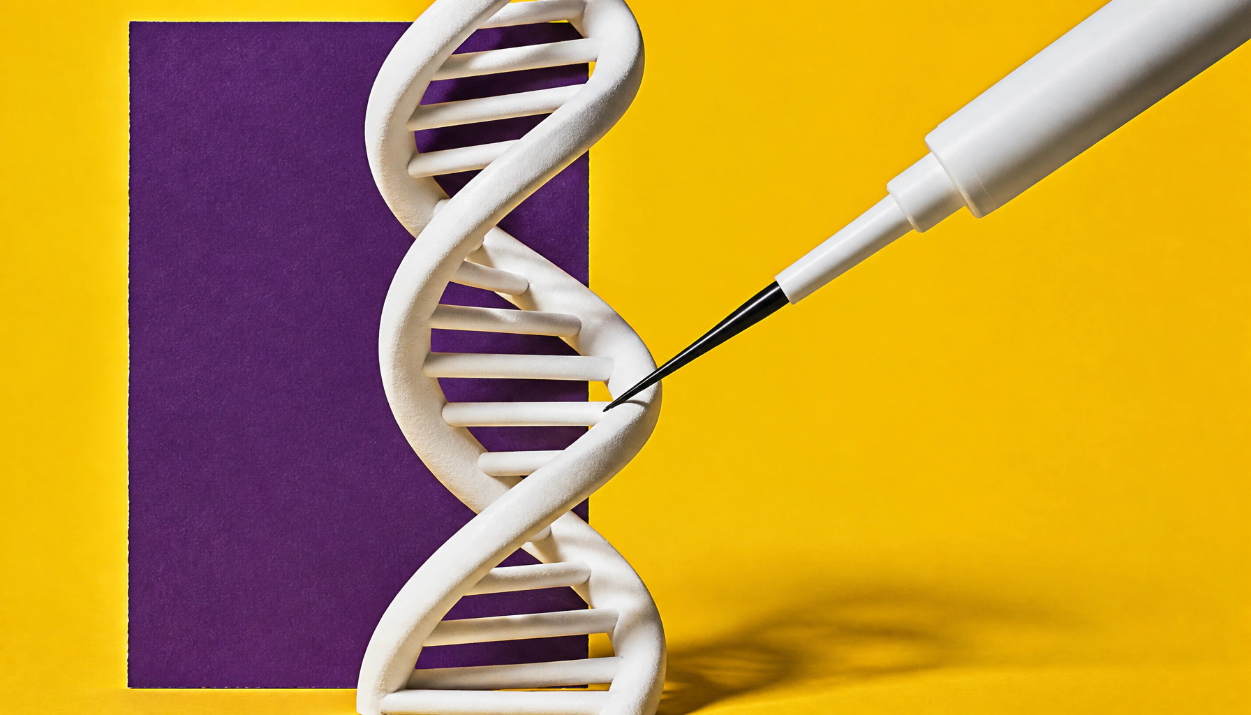 Scientists double DNA's alphabet — and biology's machinery can handle it