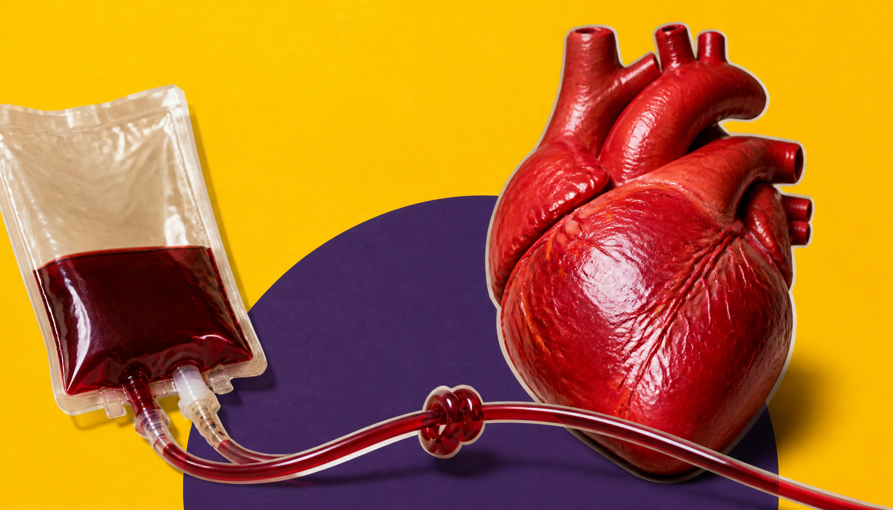 Stressed mitochondria may hold the key to protecting your heart