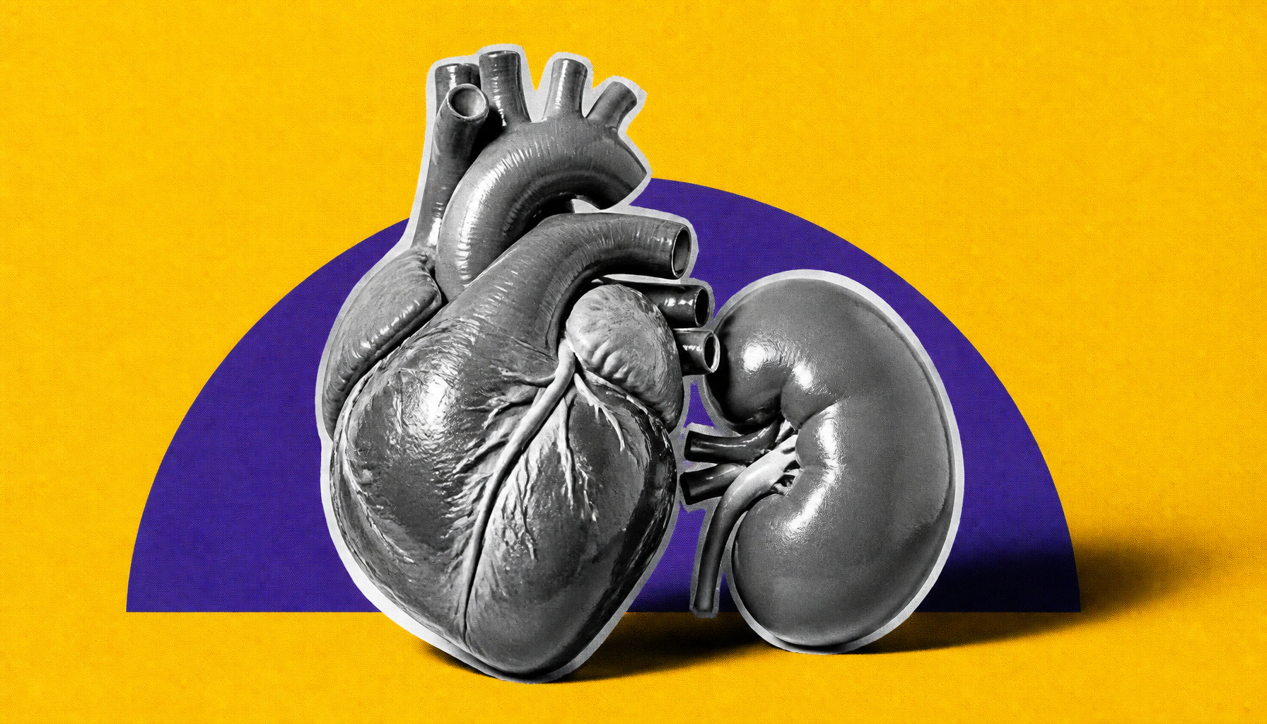 New ESC guidelines tackle the dangerous heart-kidney disease cycle
