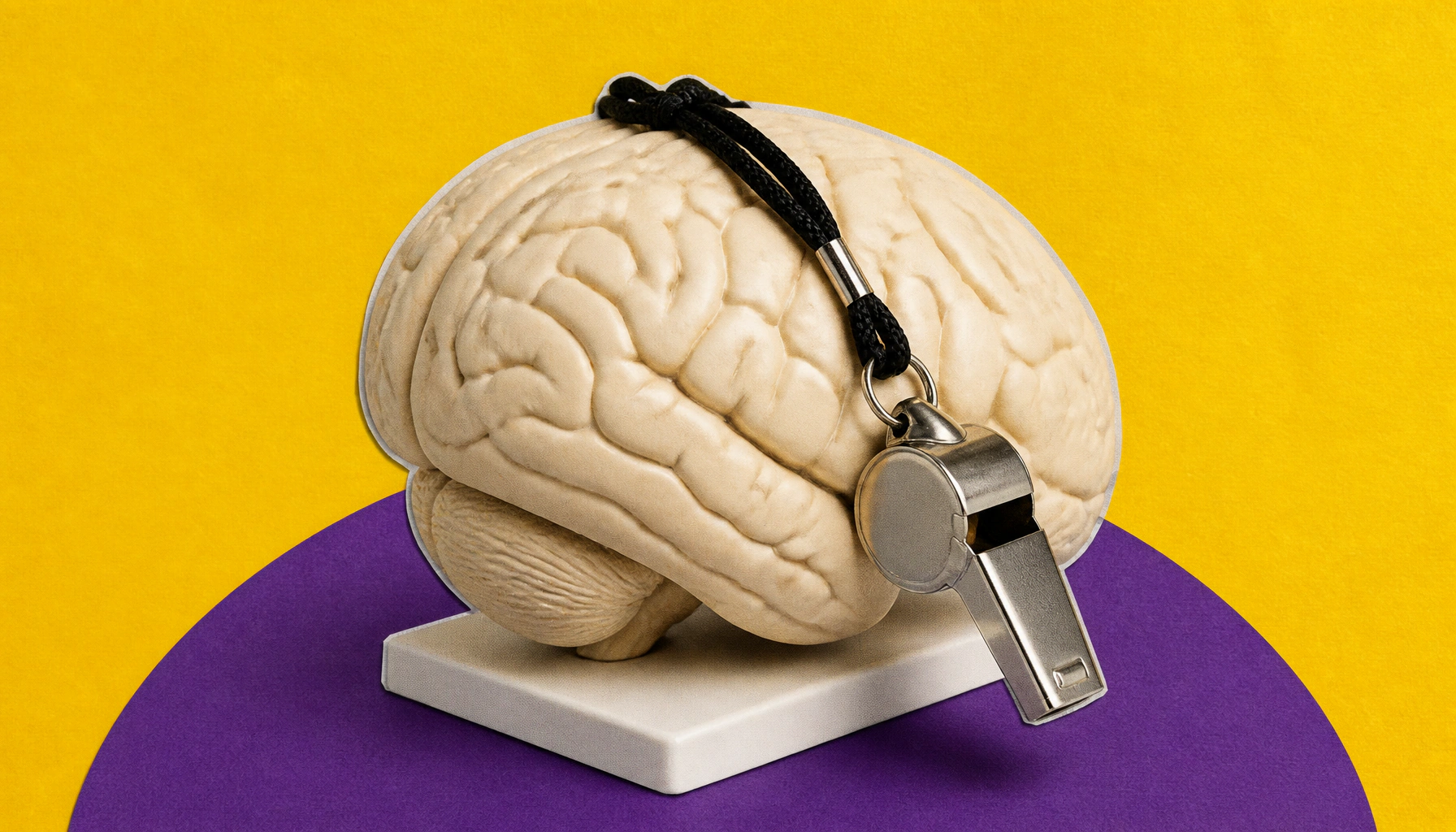 Structured lifestyle program beats basic health advice for dementia prevention in Latin America