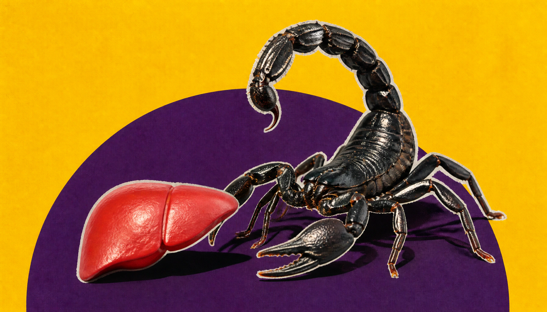 Scorpion venom peptides show promise as treatments for liver disease and viral hepatitis