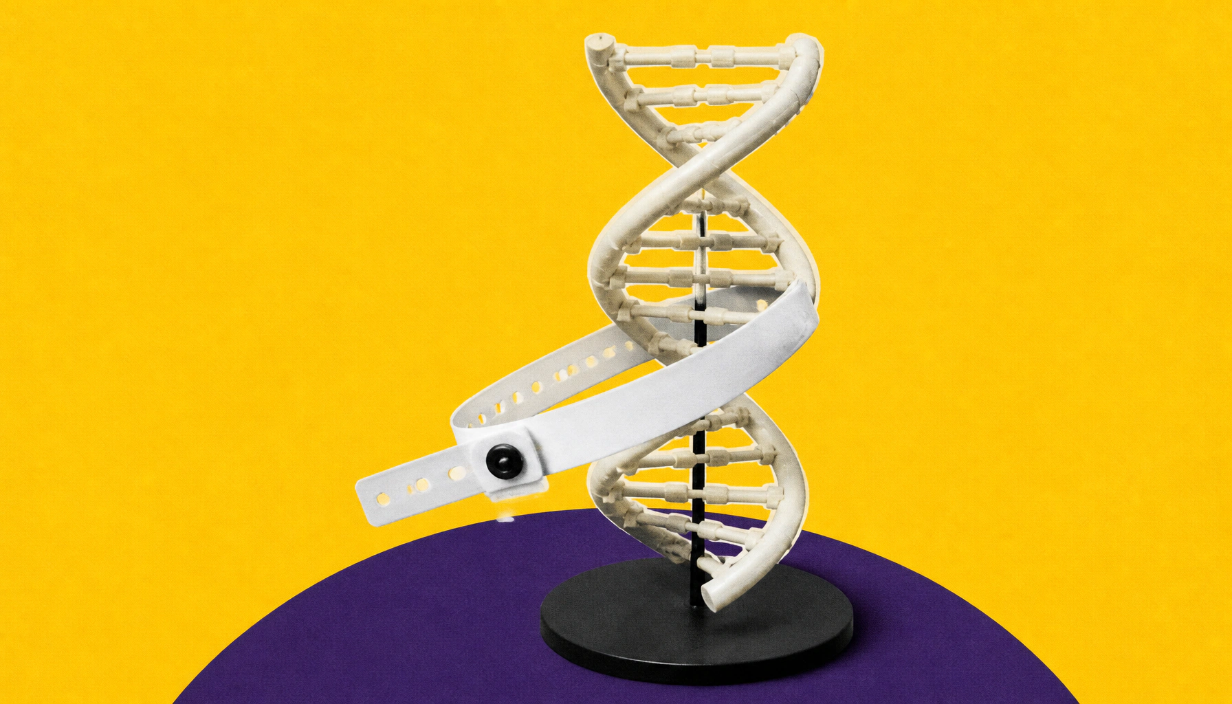 Over 1,200 genetic variants linked to personality — and a lot more