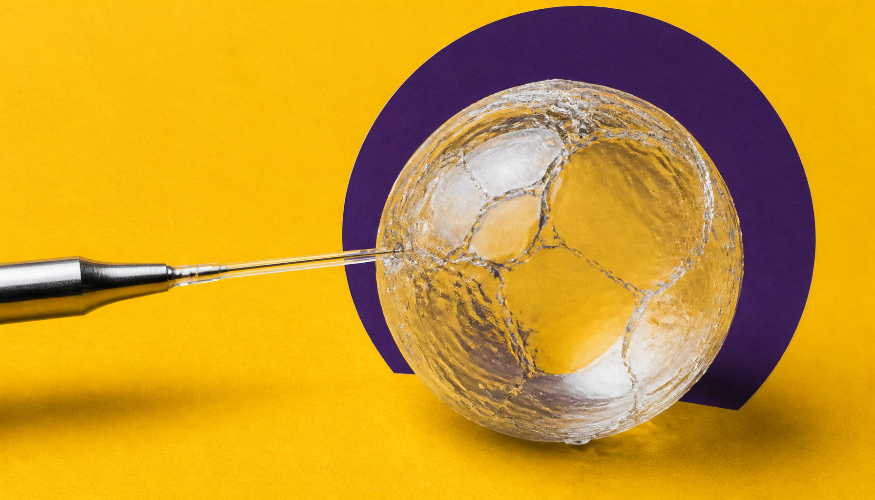 14 gene variants in the egg's protective layer may explain unexplained female infertility