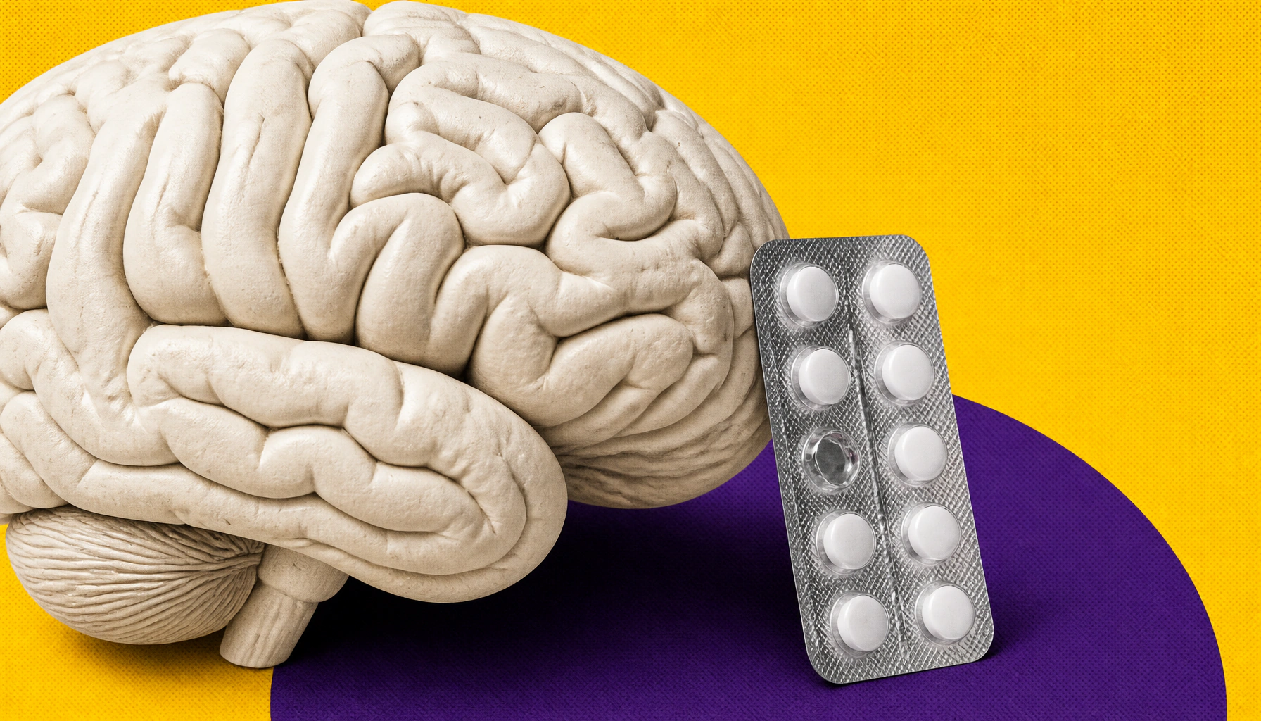Brain's "support cells" may hold the key to understanding stress, anxiety, and depression
