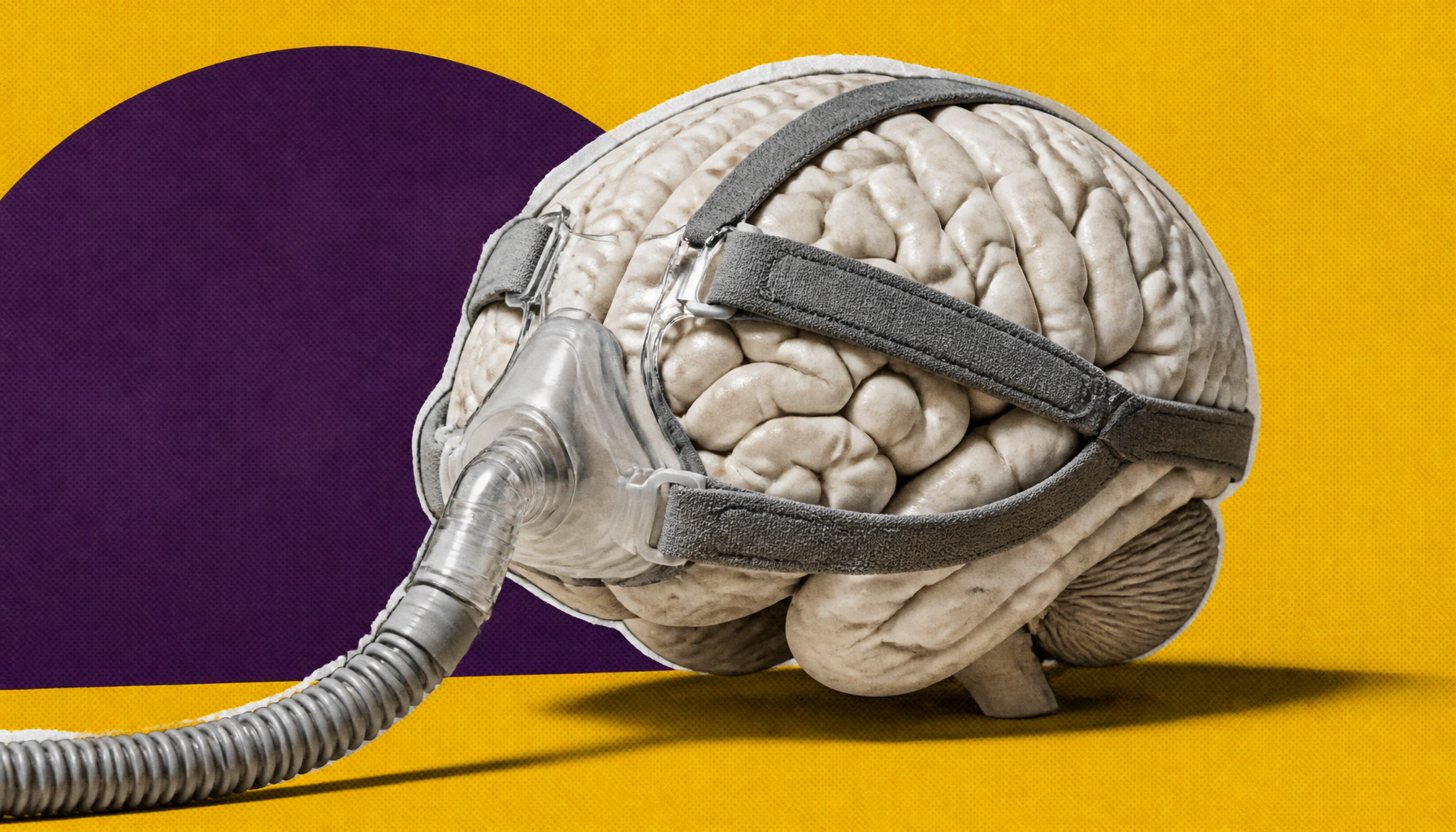 Daytime sleepiness in sleep apnea linked to brain network disruption and cognitive decline