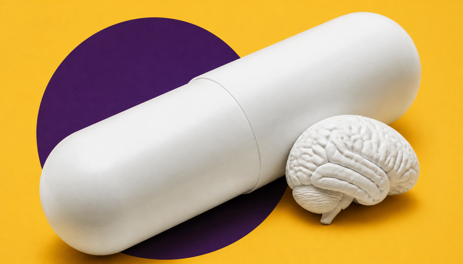 Psilocybin shows promise for treating repetitive mild traumatic brain injury in rats