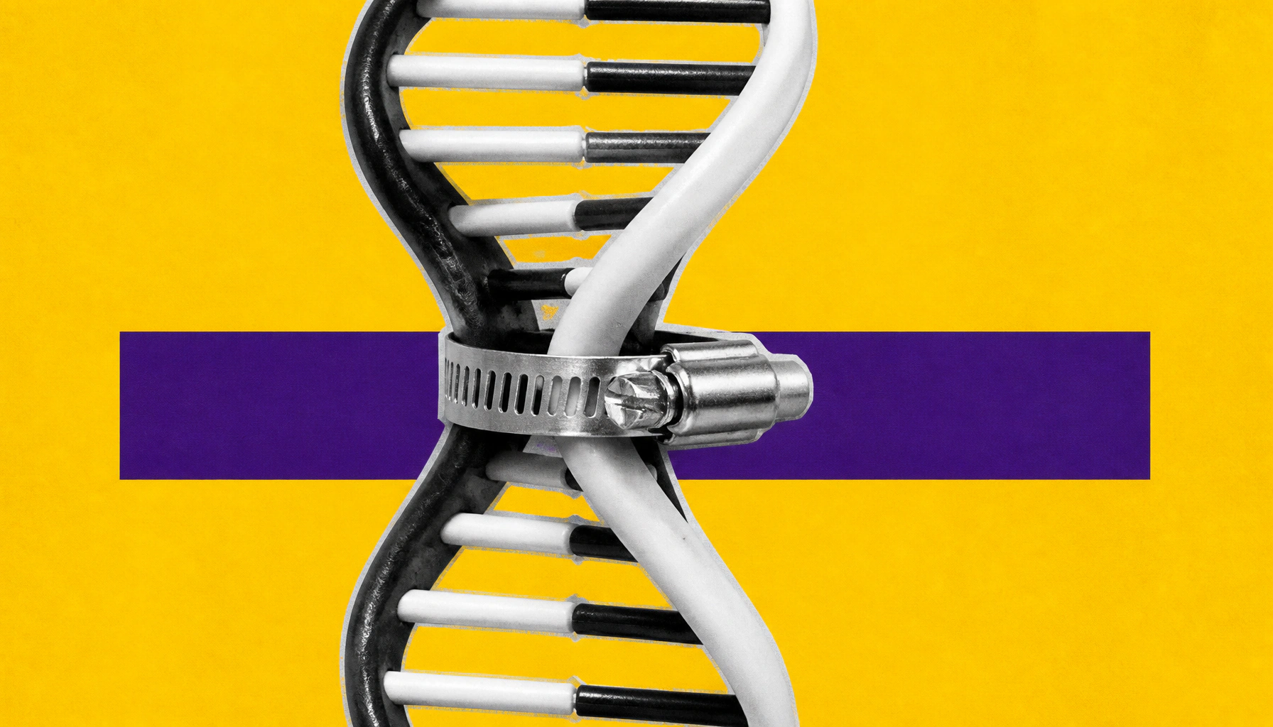 Eating less may slow DNA mutations — and aging — in mice