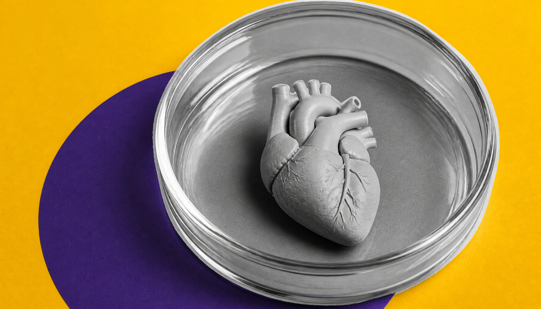 Cellular "antennas" may hold the key to understanding congenital heart defects