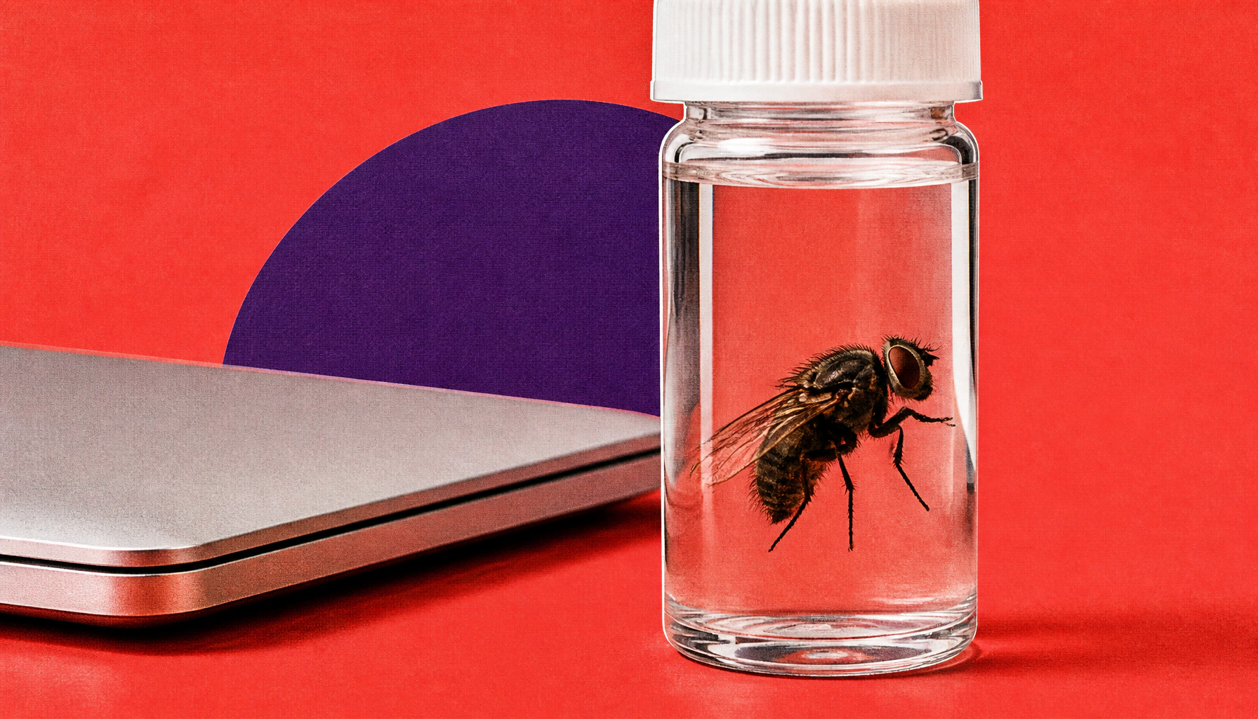 The flesh-eating New World screwworm is back in the U.S. — and spreading fast
