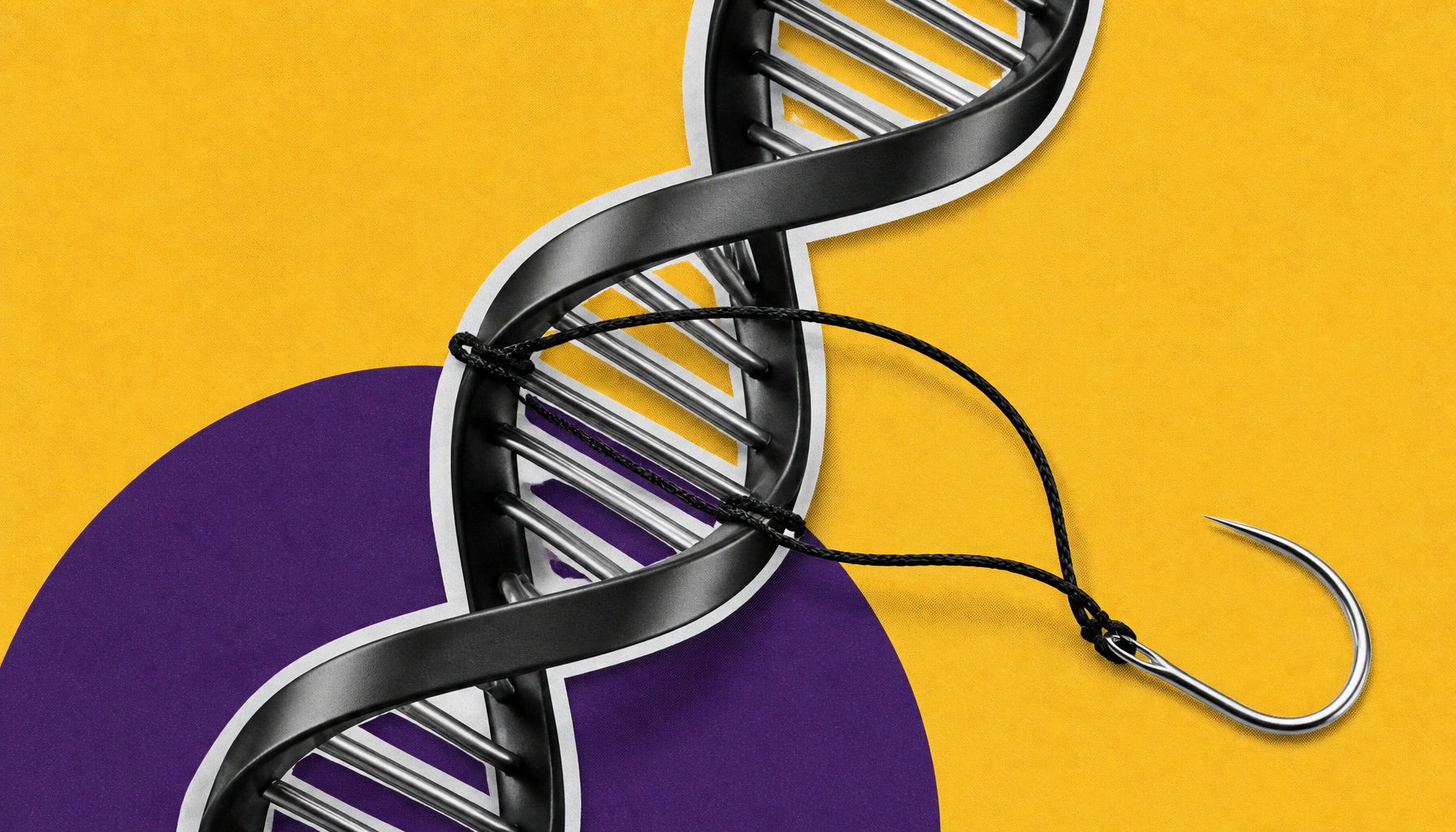 DNA's 3D architecture unlocks a new key to tissue regeneration