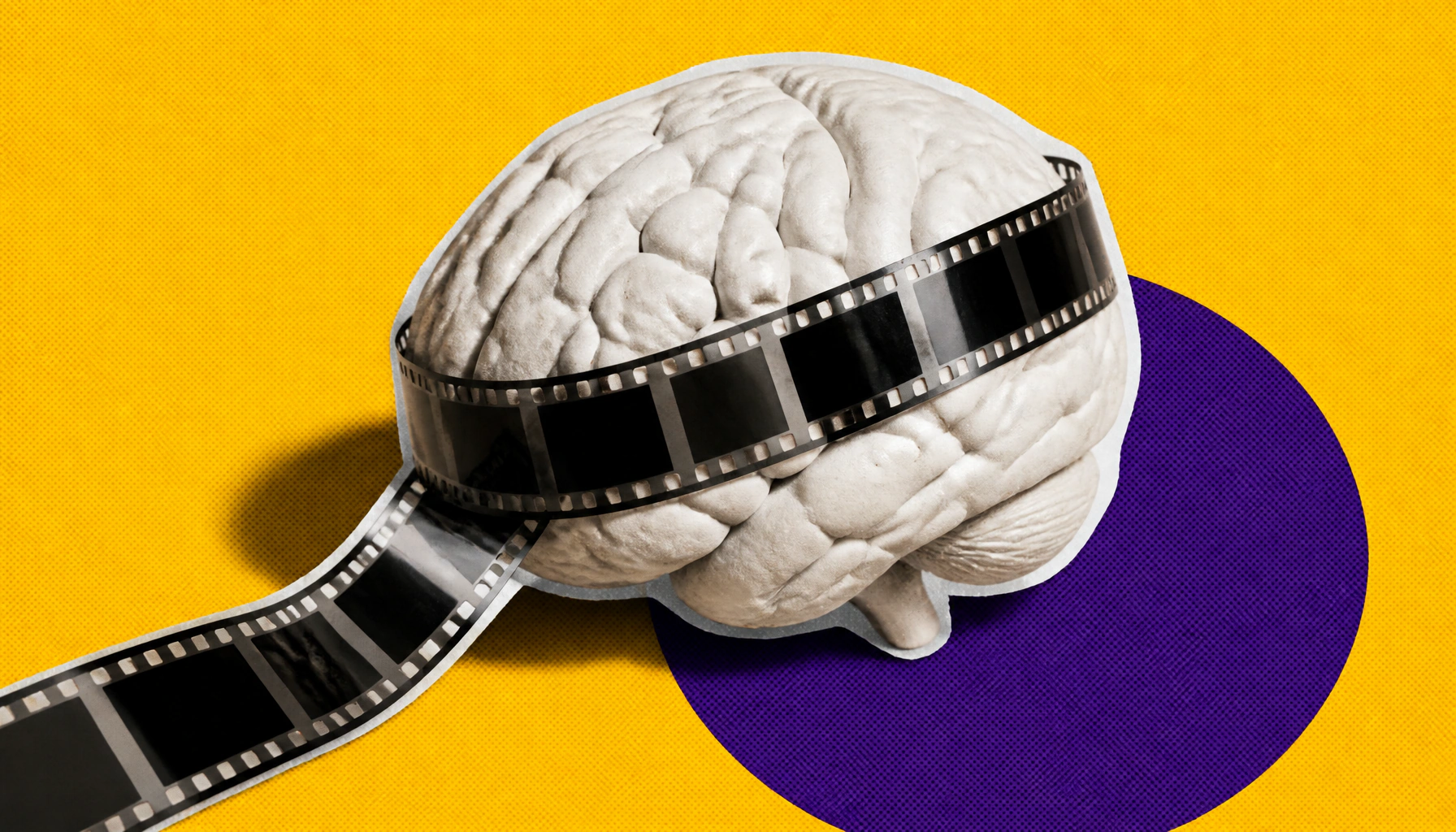 Scientists reconstruct videos from mouse brain signals, unlocking secrets of visual perception
