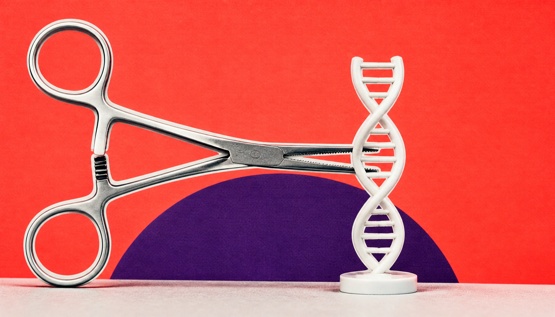 Your immune system may be accelerating aging — here's how